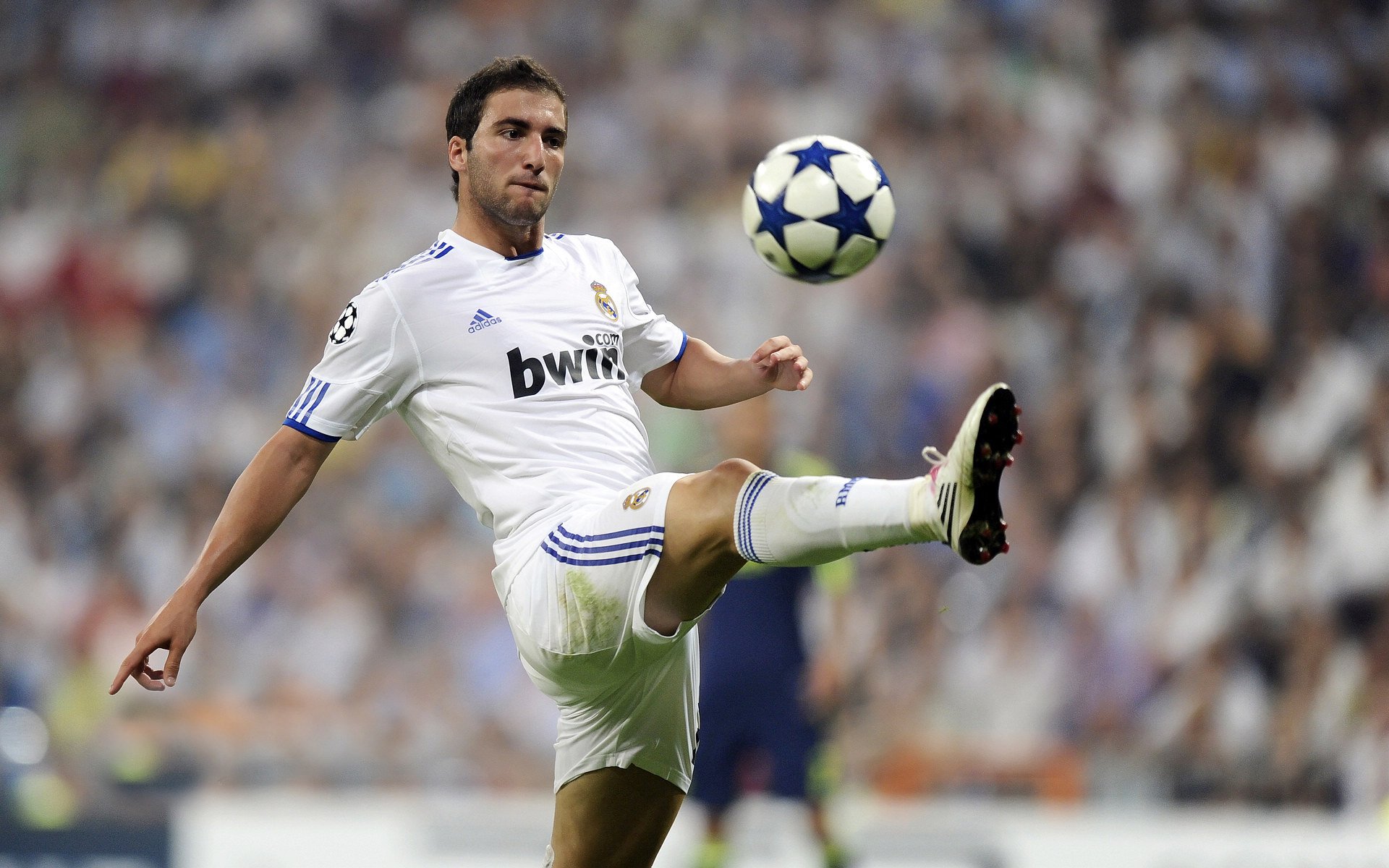  国语佛陀1一54集 